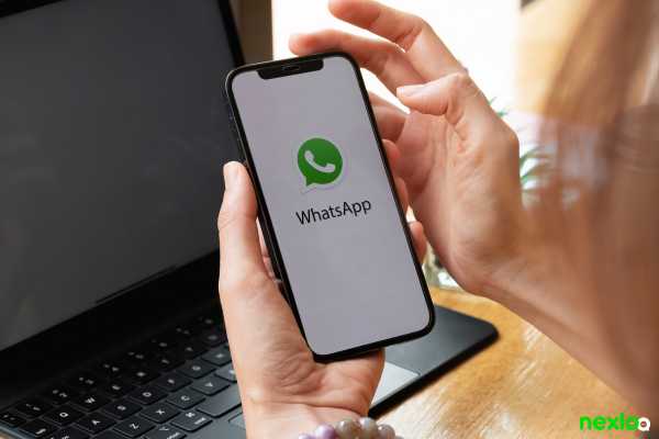 whatsapp   whatsapp business (2)